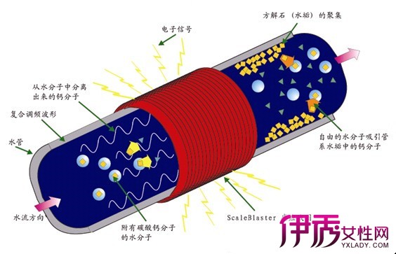 澳门十大娱乐平台入口网址